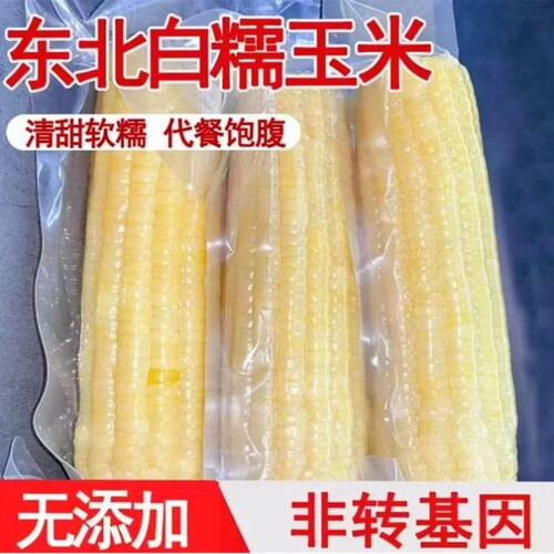 东北 新鲜白糯玉米10支低脂代餐真空包装粗粮代餐
