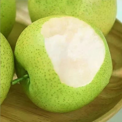 梨子新鲜水果砀山青梨9斤皇冠梨当季翠冠梨蜜早雪梨整箱包邮精选
