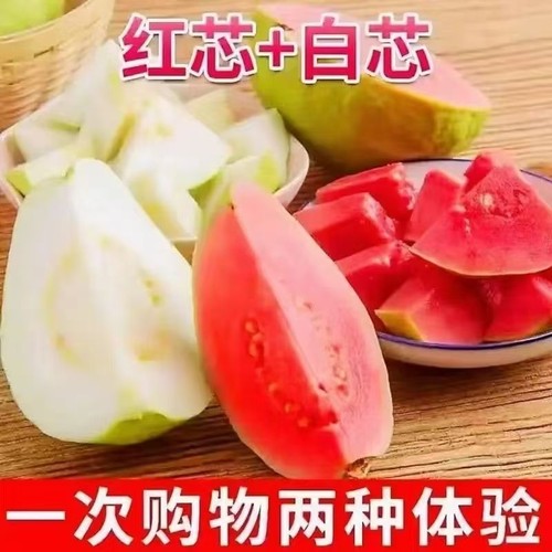 广西双拼芭乐软番石榴组合果园直供应季新鲜现摘孕妇水果清甜香甜