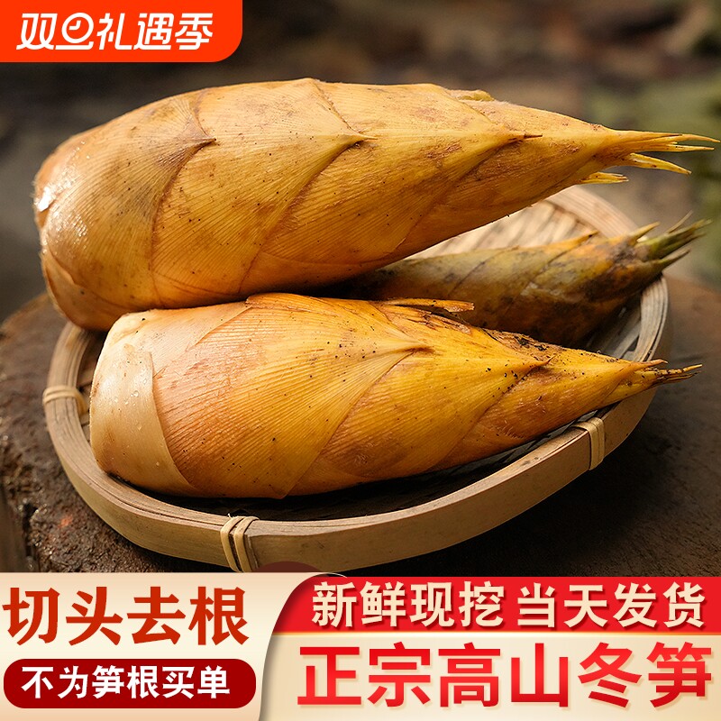 新鲜现挖冬笋毛竹笋2025年高山野生楠竹笋黄泥笋现货现发食用配送