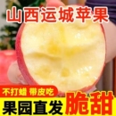 水果青香甜冰糖心 山西红富士苹果新鲜丑苹果应当季 10斤新鲜