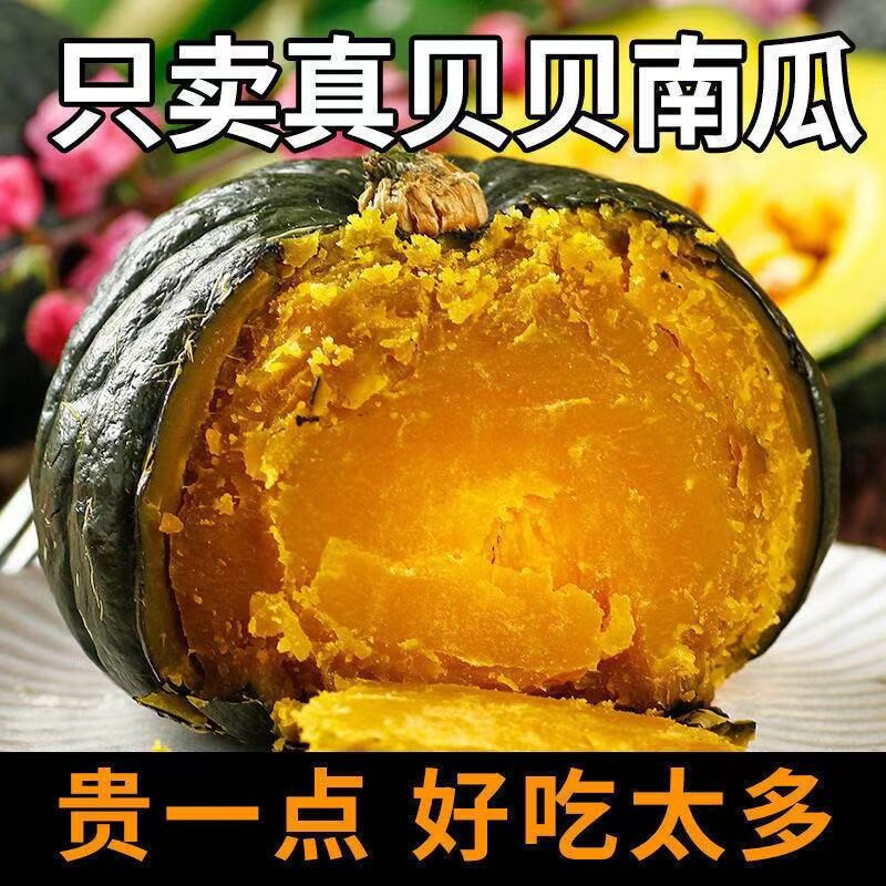 新鲜农家甜糯贝贝小南瓜3斤山东老熟粉面板栗味婴儿辅食进口种源5