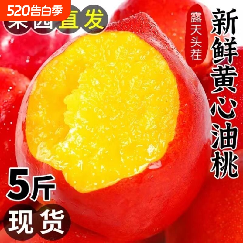 平晏果园头茬黄心油桃桃子新鲜水果当季水密桃黄肉孕妇蜜脆桃现摘
