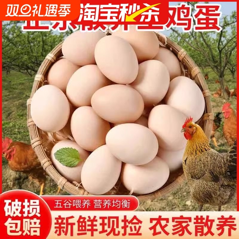 筱诺新鲜农村土鸡蛋40g/枚农家散养自养天然柴鸡蛋笨鸡蛋草鸡蛋