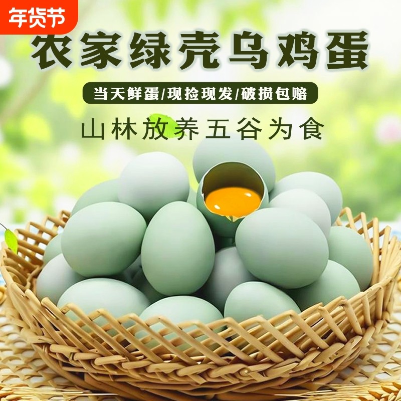 【50枚家庭装】新鲜乌鸡蛋宝宝孕妇蛋月子蛋农家散养绿壳蛋土鸡蛋