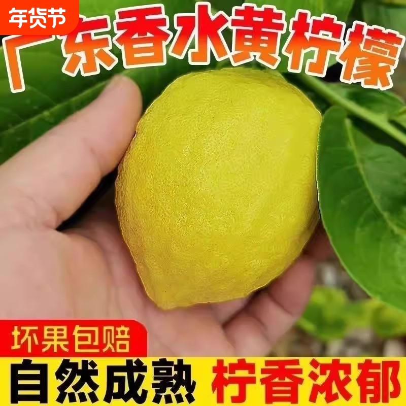 广东香水黄柠檬新鲜当季水果皮薄多汁酸爽鲜柠檬当季新鲜香甜,水产肉类/新鲜蔬果/熟食,柠檬,淘宝优惠券,粉丝福利购,淘宝优惠卷