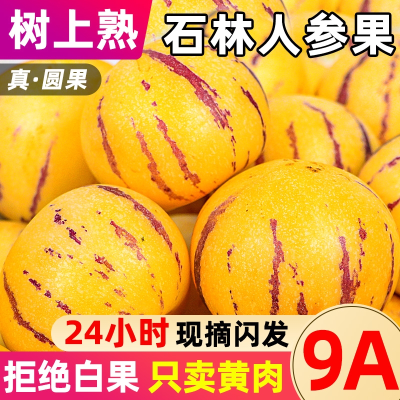 云南人参果新鲜水果人生果石林果圆七彩黄肉整箱包邮树上熟鲜果