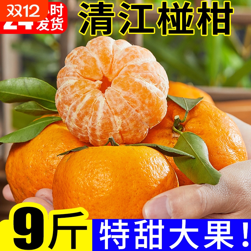 清江椪柑皮薄特甜多汁