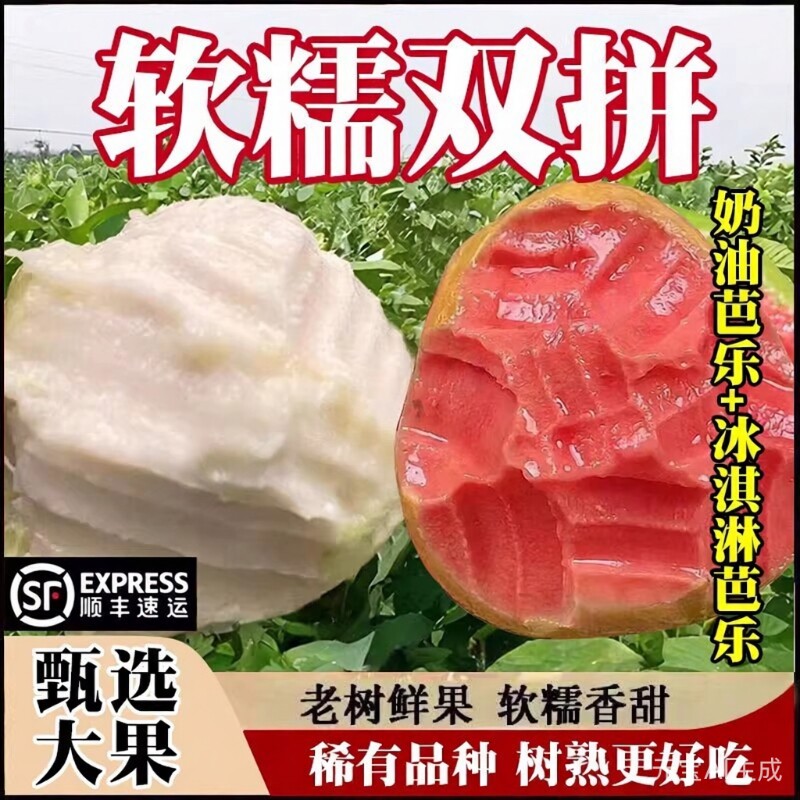 顺丰软糯芭乐双拼5斤新鲜水果应当季软糯番石榴胭脂红整箱树上熟