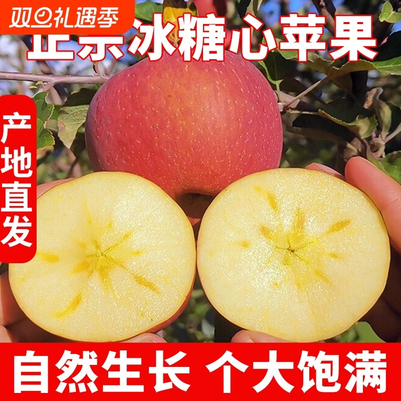 贪吃猴甘肃大漠冰糖心苹果红富士新鲜水果脆甜丑果包邮多汁生鲜