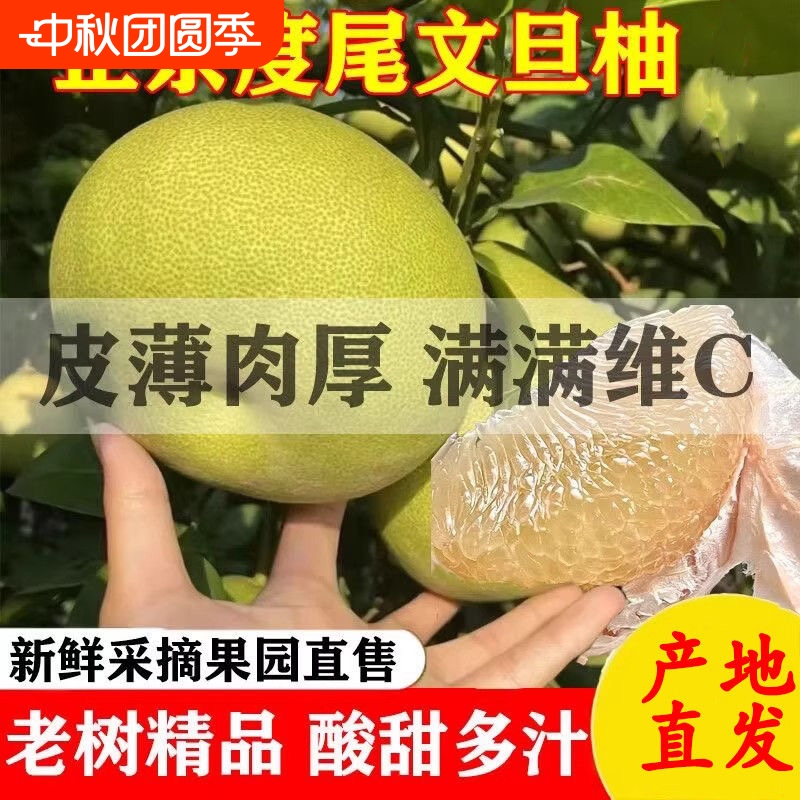 正宗度尾文旦柚10斤顺丰包邮当应季孕妇新鲜水果福建红心柚子整箱