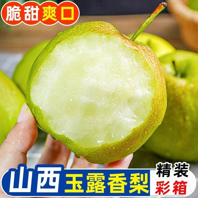 顺丰包邮山西正宗玉露香梨新鲜应季水果脆甜薄皮梨子礼盒雪花梨