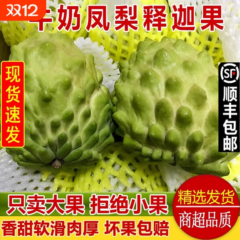 现货 牛奶凤梨释迦果新鲜番荔枝佛头果水果大果孕妇顺丰礼盒