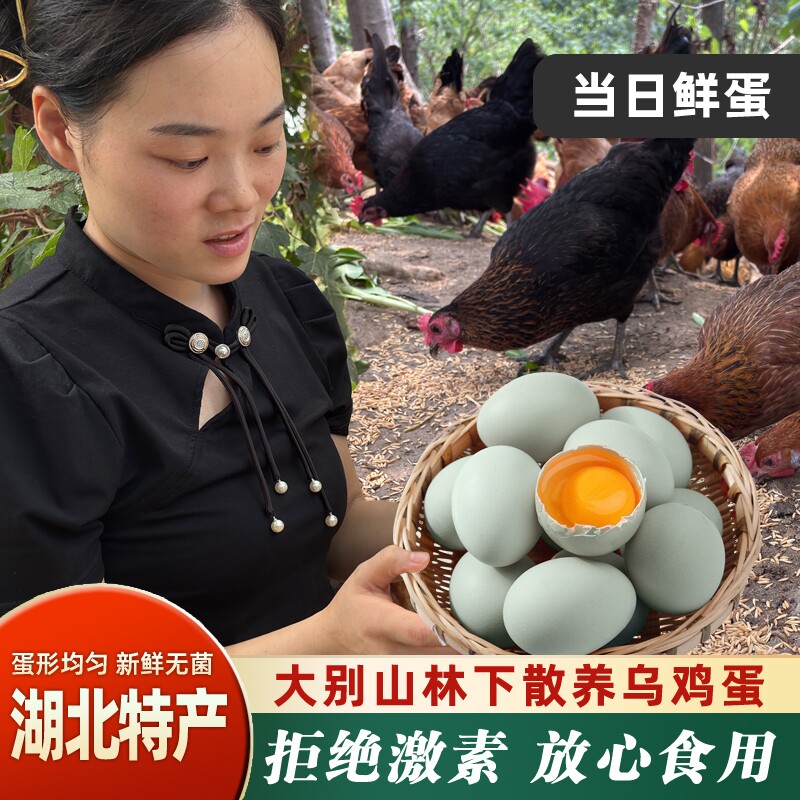 土鸡蛋营养新鲜绿壳鸡蛋虫谷喂养