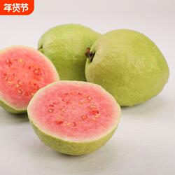 漳州红心芭乐脆甜新鲜水果珍珠芭乐台湾番石榴孕妇水果红心当季鲜