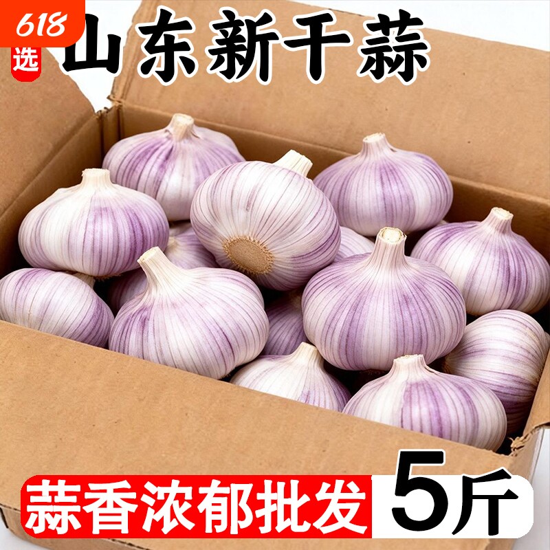今年新干蒜5斤大蒜头农家大蒜当季新鲜蔬菜包邮自提紫皮回购净重