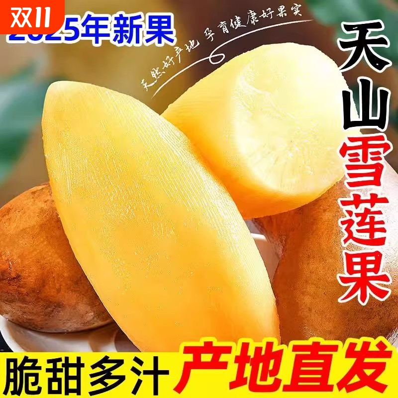 现货云南天山黄心包邮新鲜水果新果现挖脆甜多汁3斤5斤9斤雪莲果
