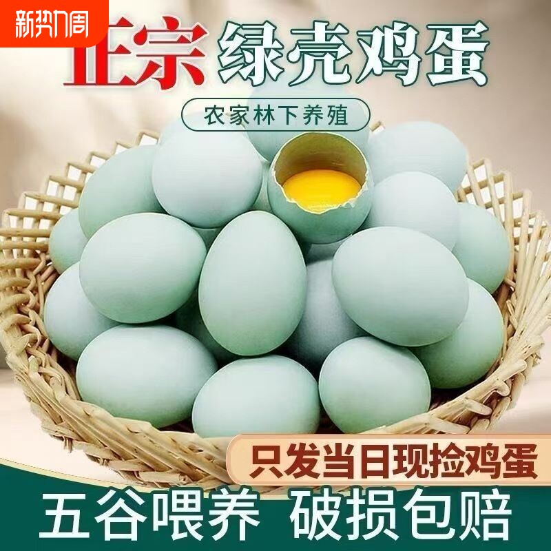 农家散养绿壳新鲜正宗土鸡蛋自养鸡营养早餐鸡蛋绿壳蛋鲜鸡蛋