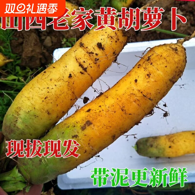 自种山西黄胡萝卜新鲜蔬菜农家热卖带泥黄胡萝卜抓饭专用宝宝辅食