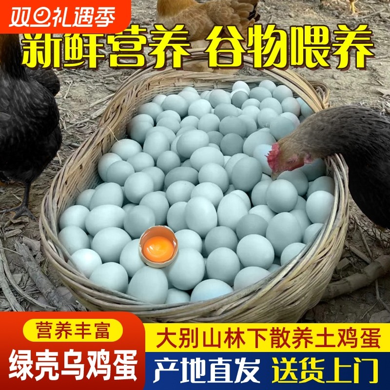 绿壳乌鸡蛋正宗农家散养50枚大别山跑山鸡虫草土鸡蛋新鲜喂养谷物