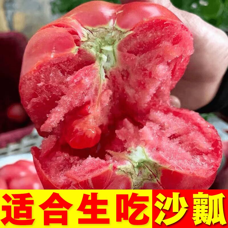 甘肃沙漠沙瓤西红柿现摘现发口口爆汁酸甜可口原产地直发京东包邮