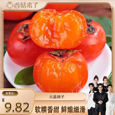 【香菇来了】正宗火晶柿子新鲜水果香甜薄皮流心软柿子