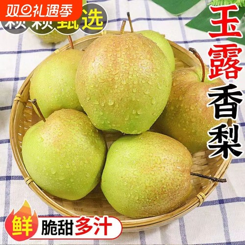 正宗脆甜玉露香梨新鲜整箱青皮当季水果脆甜批发薄皮梨子酥梨