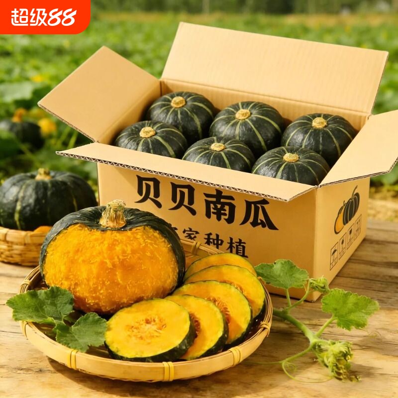 贝贝南瓜板栗小南瓜正宗板栗味婴儿辅食农家新鲜蔬菜粉瓜蛋黄回购