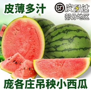 北京大兴庞各庄西瓜新鲜小西瓜现摘吊瓜甜瓜L600整箱顺丰包邮脆甜