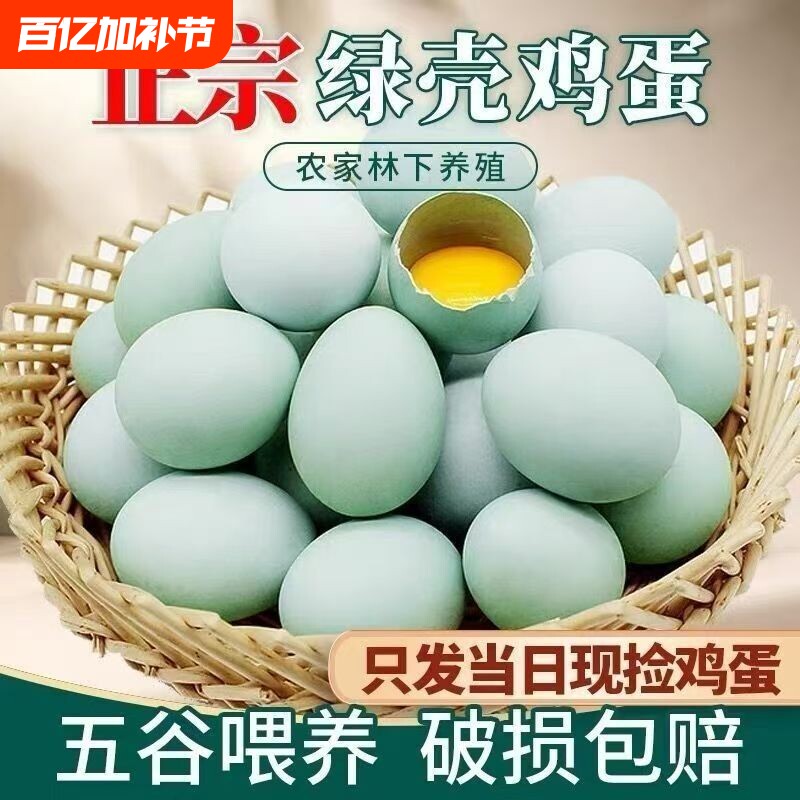 农家散养绿壳新鲜正宗土鸡蛋自养鸡营养早餐鸡蛋绿壳蛋鲜鸡蛋