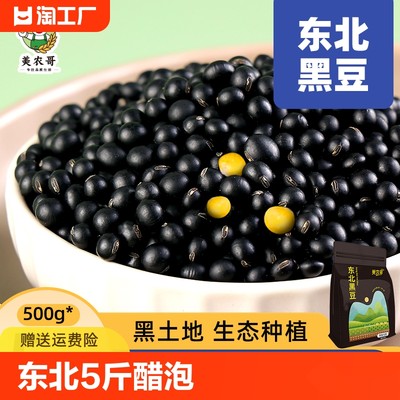 东北黑豆5斤打豆浆专用发泡豆芽