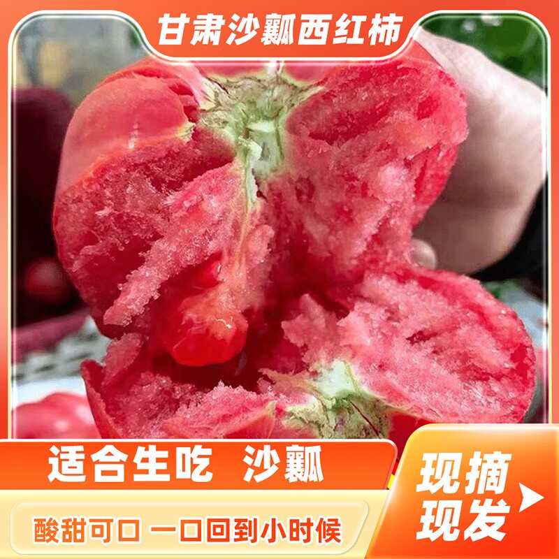 甘肃沙漠当季新鲜沙瓤西红柿现摘农家自种自然熟柿子蔬菜爆汁果蔬