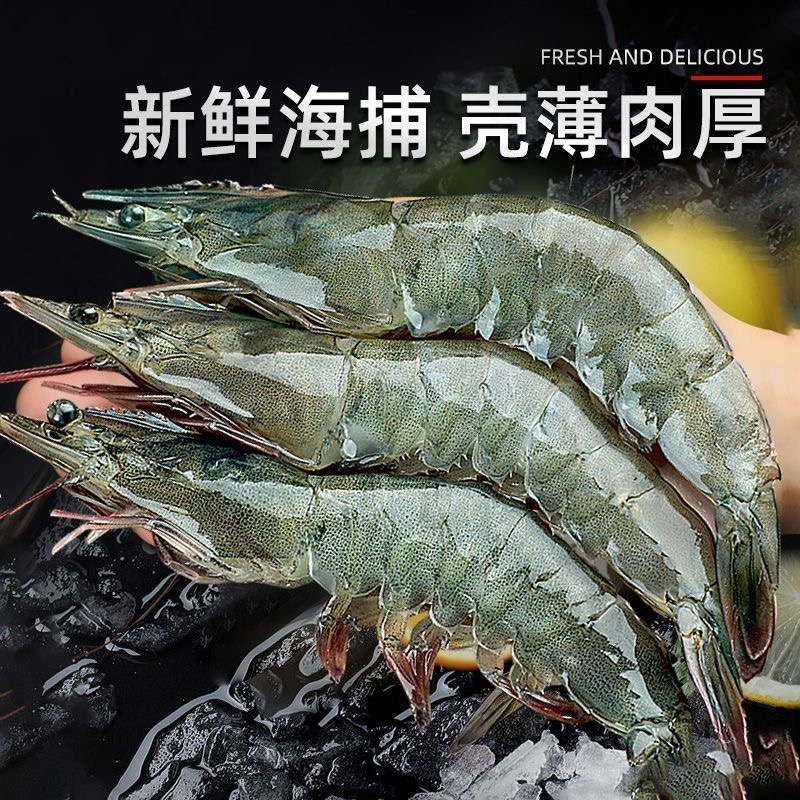 大虾鲜活特大号虾青岛海鲜生鲜冻虾水产厄瓜多尔速冻冷冻新鲜白虾