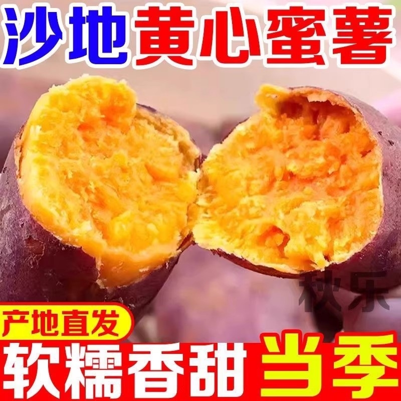 农家自种沙地蜜薯黄红心红薯番薯山芋糖心龙九红薯新鲜烤地瓜