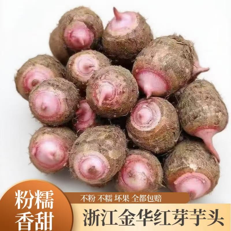 浙江金华红芽芋当季新鲜小香芋艿牛奶芋毛芋槟榔芋头蔬菜整箱包邮