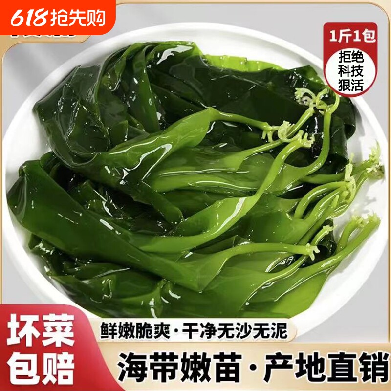 海带裙带菜海带苗嫩特级新鲜苗霞浦嫩火锅食材商用无添加鞭炮笋嫩