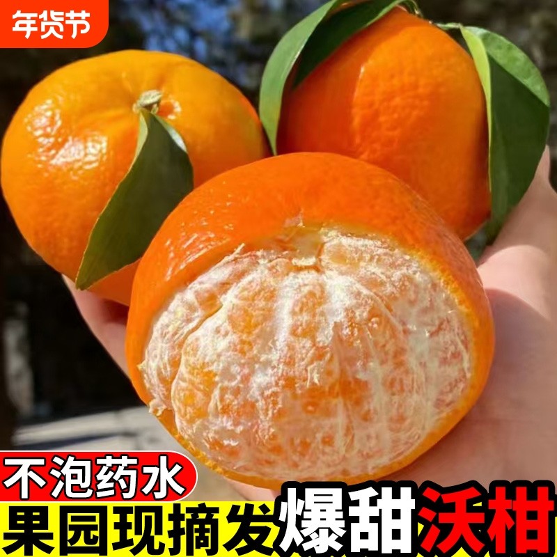 正宗云南沃柑新鲜橘子应当季孕妇水果整箱现摘爆甜柑桔子皇帝砂糖,水产肉类/新鲜蔬果/熟食,桔子,淘宝优惠券,粉丝福利购,淘宝优惠卷