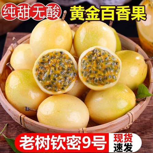 海南黄金百香果新鲜钦密九号白香果水果应季纯甜现摘一级大果