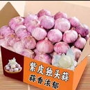 紫皮大蒜正宗独头蒜新鲜农家干货香辣蒜新货干大蒜5斤3斤大果当季