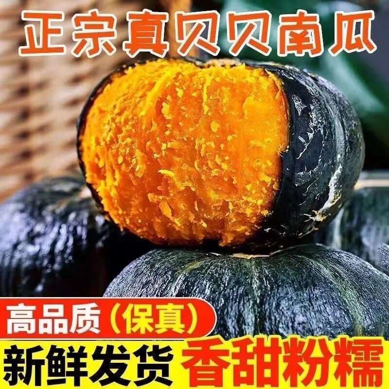 正宗贝贝南瓜板栗味婴儿辅食老南瓜粉蔬菜新鲜早餐产地食用香甜