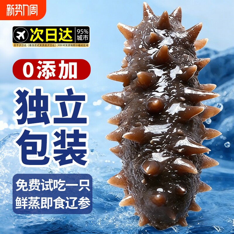 大连海参即食独立包装袋辽参刺参海渗鲜活淡干海鲜礼盒官方旗舰店
