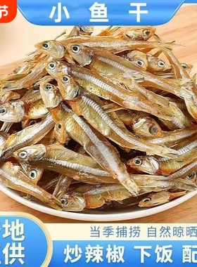 新鲜自捕海燕鱼干小鱼干深海干货公鱼仔银鱼淡水淡晒水产鲜香原味