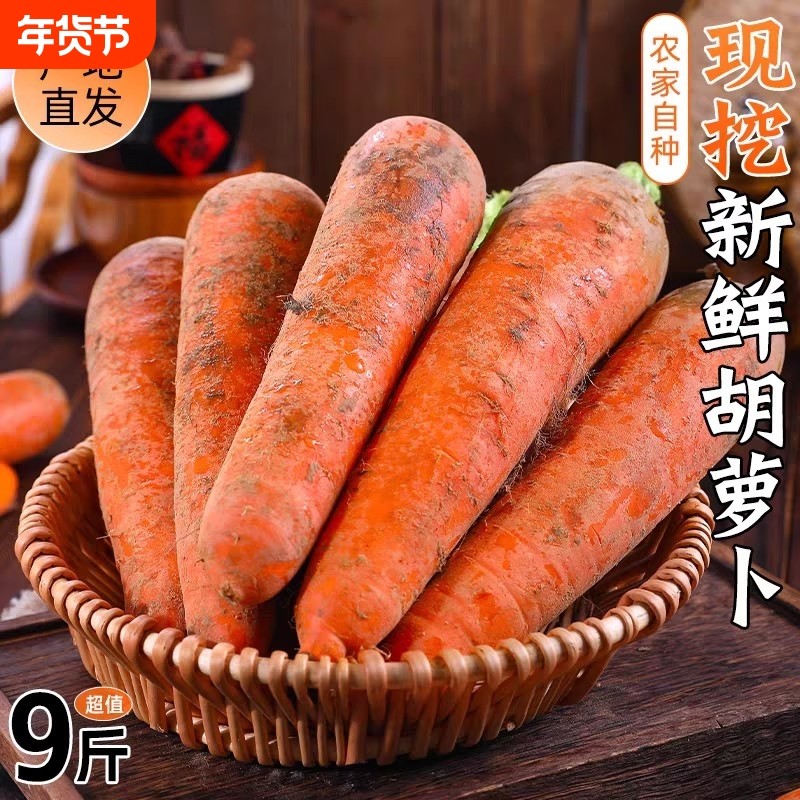 新鲜正宗河南胡萝卜现挖现发带泥农家自种蔬菜红萝卜脆甜宝宝辅食,水产肉类/新鲜蔬果/熟食,萝卜/胡萝卜,淘宝优惠券,粉丝福利购,淘宝优惠卷