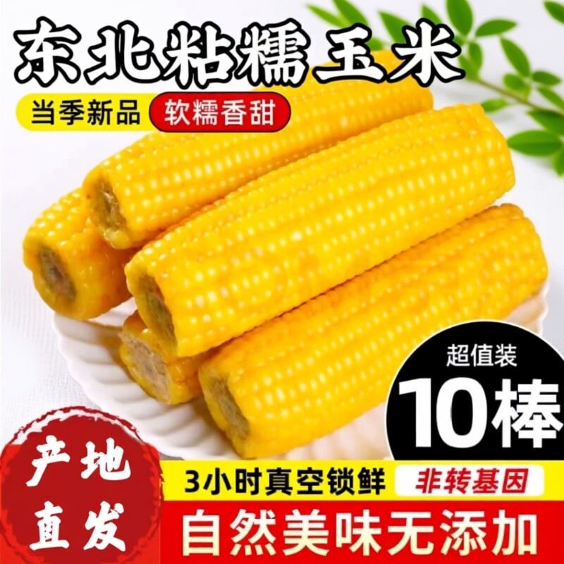 东北黄糯玉米棒真空装黄苞米现摘新鲜黏玉米粗粮代餐10棒香甜软糯