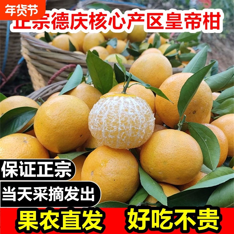 正宗德庆皇帝柑果园直发当季新鲜贡柑沃橘丑桔子爱媛水果一整箱甜,水产肉类/新鲜蔬果/熟食,桔子,淘宝优惠券,粉丝福利购,淘宝优惠卷