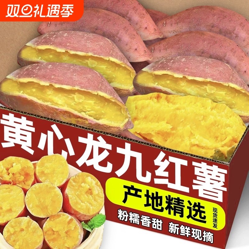 正宗龙九黄心红薯沙地番薯板栗红薯蜜薯现挖现发面甜优质果蔬新鲜