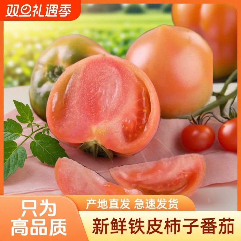 东北铁皮草莓柿子3/5斤新鲜蔬菜沙瓤自然熟绿腚碱地生吃水果番茄