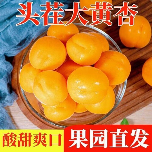 2026年杏子水果新鲜山西大黄杏应季孕妇水果酸甜现摘当季整箱批发