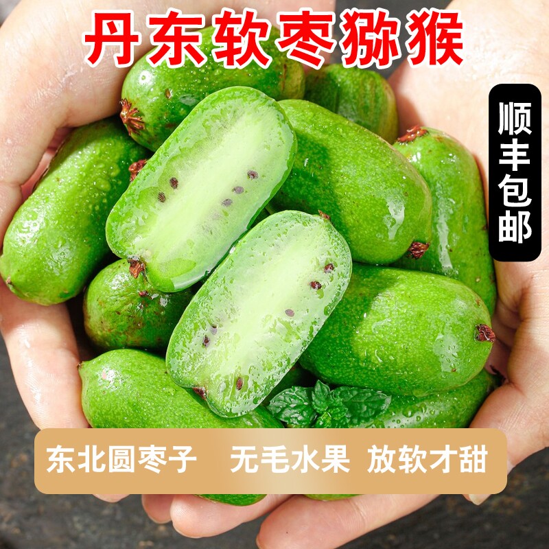 顺丰丹东软枣猕猴桃奇异莓新鲜水果东北特产圆枣子鲜果放软吃大果