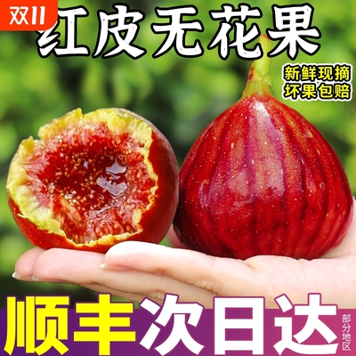 顺丰红皮无花果鲜果树上熟大果当季现摘新鲜水果青红皮包邮糖包子